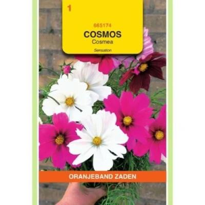 Afbeelding van Cosmos Cosmea Sensation gemengd