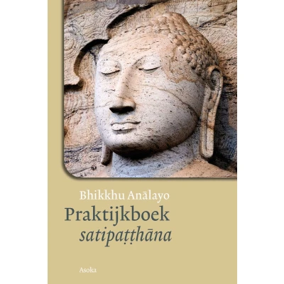 Afbeelding van Praktijkboek satipatthana
