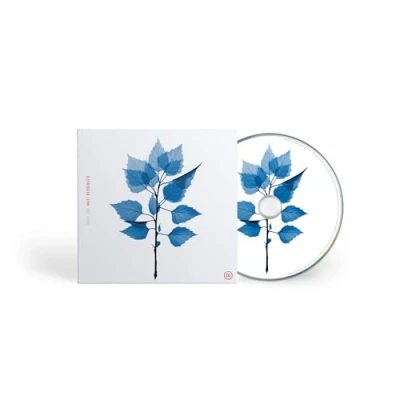 Afbeelding van Matt Berninger Get Sunk (CD)