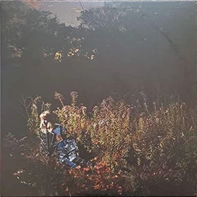 Afbeelding van Weather Station Ignorance (LP)