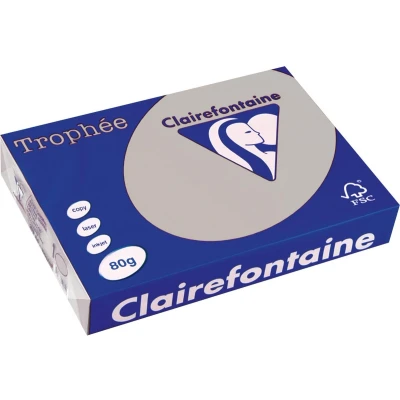 Afbeelding van Clairefontaine Trophée Gekleurd Papier, A4, 80 G, 500 Vel, Lichtgrijs Papier
