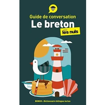 Afbeelding van Le breton pour les nuls: Guide de conversation