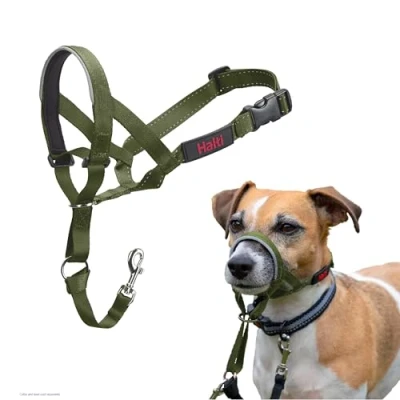 Afbeelding van Halti hondenhoofdband bosgroen maat 1: Corgi, Dwergschnauzer, Westie hond