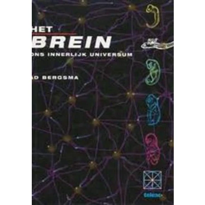 Afbeelding van Het brein