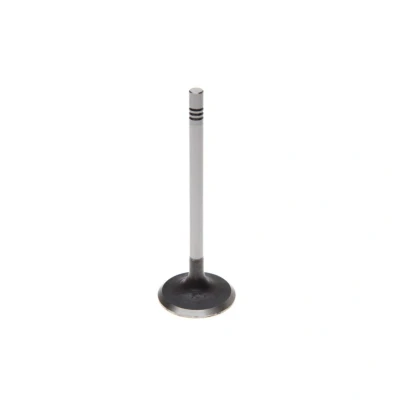 Afbeelding van Ae Inlaatklep V94646