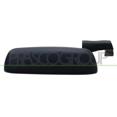 Afbeelding van PRASCO FT1328204 Deurgrepen Buiten, Links achter, voor Met grondlaag