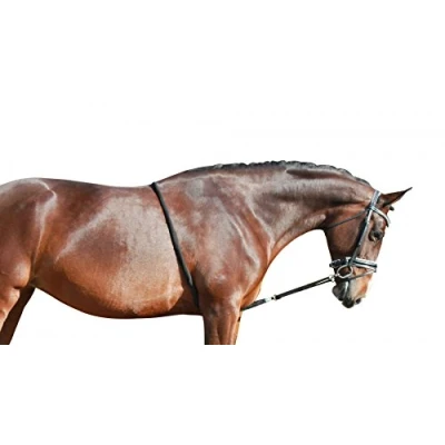 Afbeelding van QHP Longeerhulptouw maat S black