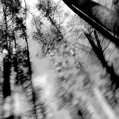 Afbeelding van Loess Totems (LP)