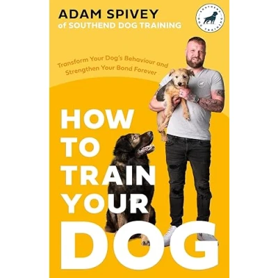 Afbeelding van How to Train Your Dog