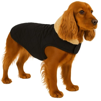 Afbeelding van Flamingo Jas voor honden Bonnie zwart Maat 45cm (A: 45 cm, B: 36 44 C: 58 64 cm) Ideaal Shiba Inu, Dandie Dinmont Terriër, Tibetaanse Welsh Terriër &amp; Australische