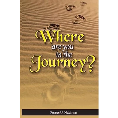 Afbeelding van Where Are You in the Journey?