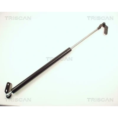 Afbeelding van Triscan Gasveer 8710 13236