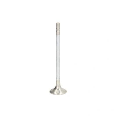 Afbeelding van Uitlaatklep FRECCIA R6729/RCR
