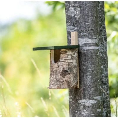Image de Nichoir à bouleau moitié ouvert pour oiseaux de jardin