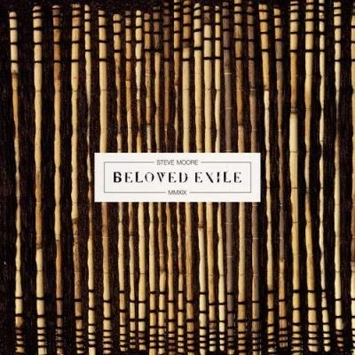 Afbeelding van Steve Moore Beloved Exile (LP)