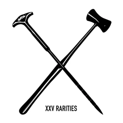 Afbeelding van Vandal X XXV (CD)
