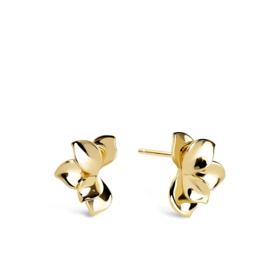 Afbeelding van Singularu Zinnia Oorbellen goldcoloured, Dames, Maat: One Size, Gold coloured