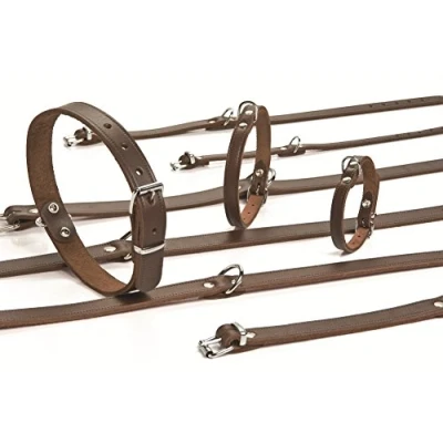 Afbeelding van Beeztees BZ LEREN HALSBAND BRUIN 70X25 (Hond, Algemeen), Kraag + Leiband