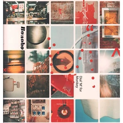 Afbeelding van Bonobo Dial M For Monkey (2 LP)