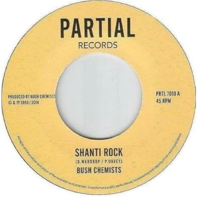 Afbeelding van Bush Chemists Shanti Rock (Single)