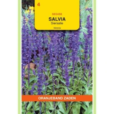 Afbeelding van Salvia siersalie victoria donkerblauw