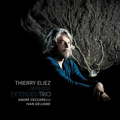 Afbeelding van Thierry Eliez Trio Improse Extended (CD)