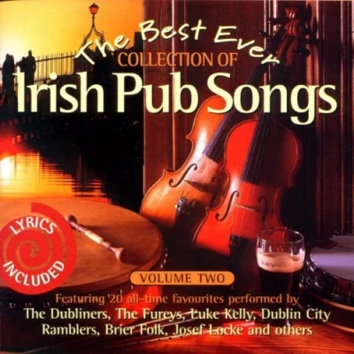 Afbeelding van Irish Pub Songs Vol. 2