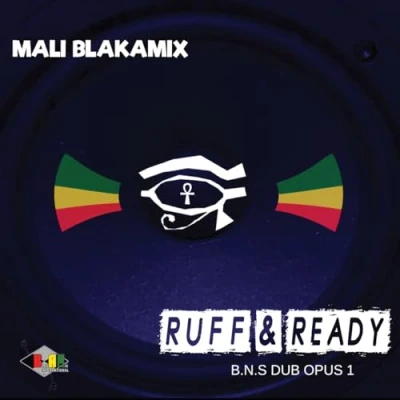 Afbeelding van Mali Blakamix Ruff &amp; Ready: Blak Nile Dub Opus 1 (LP)