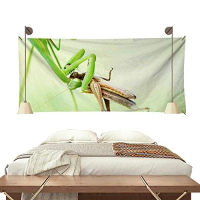Afbeelding van MEAT &amp; DORIA 231734 Sleepring stuur