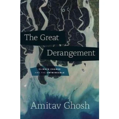 Afbeelding van The Great Derangement