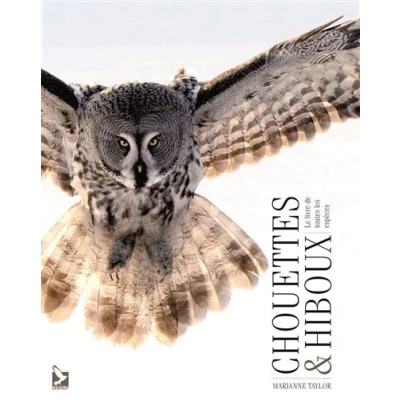 Image de Chouettes et hiboux
