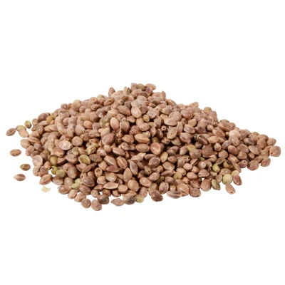 Afbeelding van Hemp 2,5kg Particles