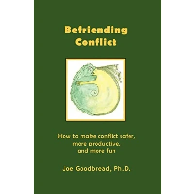 Afbeelding van Befriending Conflict