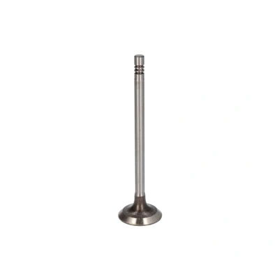 Afbeelding van Ae Inlaatklep V95001