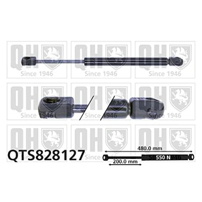 Afbeelding van QUINTON HAZELL QTS828127 Gasveer achterklep 550 480 VOLKSWAGEN: Golf Plus / Crossgolf