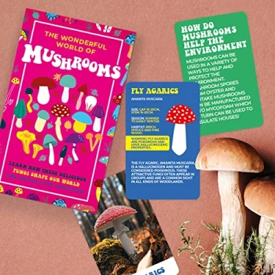 Afbeelding van The Wonderful World Of Mushrooms Kaarten