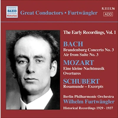 Afbeelding van Berlin Philharmonic Orchestra, Wilhelm Furtwänger Early Recordings Volume 1 (CD)