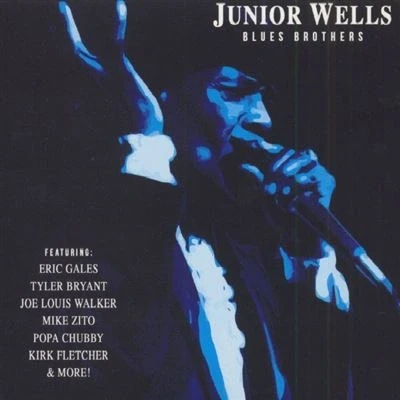 Afbeelding van Junior Wells Blues Brothers (LP)