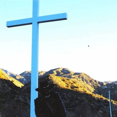 Afbeelding van Jpegmafia I Lay Down My Life For You (LP)