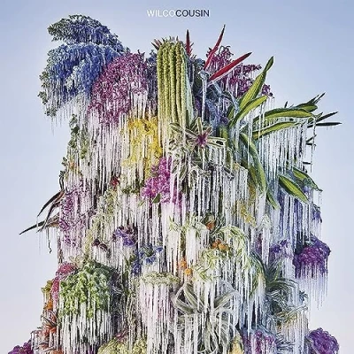 Afbeelding van Wilco Cousin (Cd)