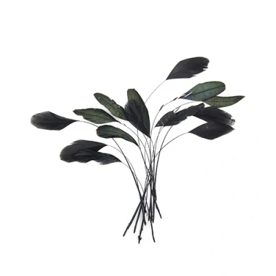 Afbeelding van Feathers, Black