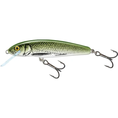 Afbeelding van Salmo Floating Minnow 6cm 4g (diepte: 0.5 1m) Kleur : Olive Bleak