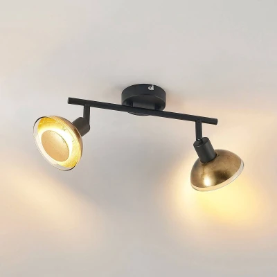 Afbeelding van Lindby buitenspot 2lichts Ijzer, glas H: 18.4 cm GU10 matzwart, bladgoud Inclusief lichtbronnen