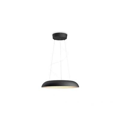 Afbeelding van Philips Hue Amaze Hanglamp Zwart