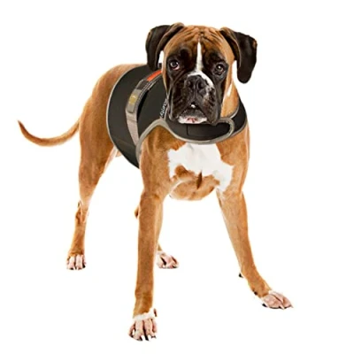 Afbeelding van Duvoplus Dierenvest Hond Veiligheidsjasje Fluo Flash Usb Large Zwart 1st