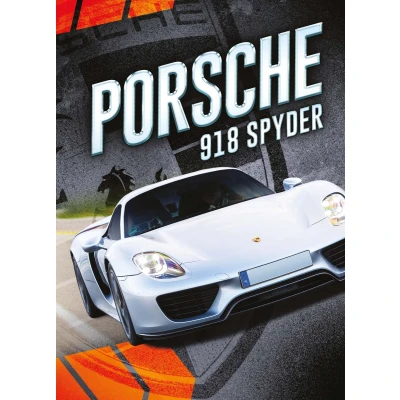 Afbeelding van Porsche 918 Spyder