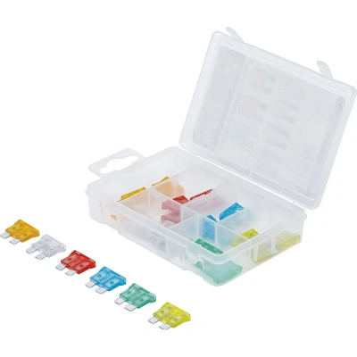 Afbeelding van BGS Assortiment autozekeringen 24 delig