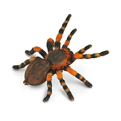 Afbeelding van Collecta Insecten: Mexicaanse Roodknievogelspin 8 X 8,7 Cm