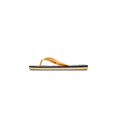 Afbeelding van Quiksilver Molokai Screen Teensandalen, Heren, Maat: 40, Bky Kunststof