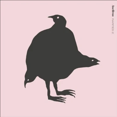 Afbeelding van Ane Brun Rarities 2 (LP)